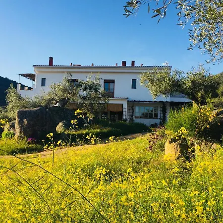 Bed & Breakfast Flores Amarillas