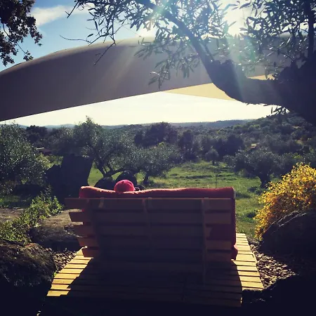 Flores Amarillas Bed & Breakfast *