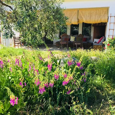 Bed & Breakfast Flores Amarillas *