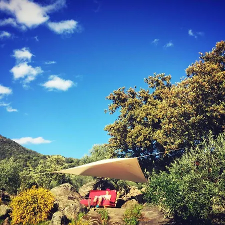 Flores Amarillas Bed & Breakfast Almoharin