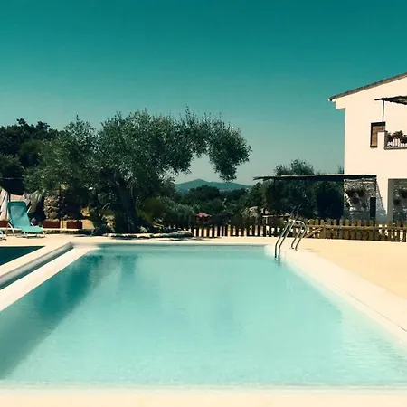 Bed & Breakfast Flores Amarillas Almoharin