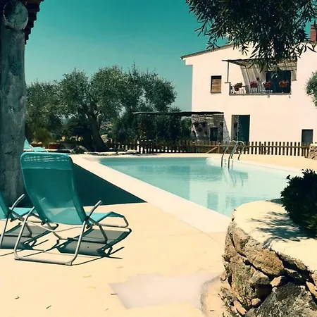 Flores Amarillas Bed & Breakfast Almoharin