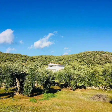 Flores Amarillas Bed & Breakfast Almoharin