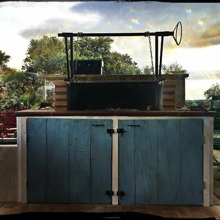 Flores Amarillas * Almoharin