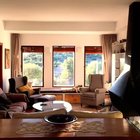 Bed & Breakfast Flores Amarillas