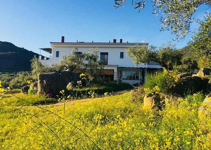 Bed & Breakfast Flores Amarillas