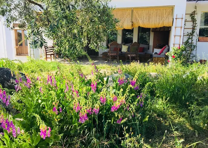 Bed & Breakfast Flores Amarillas *