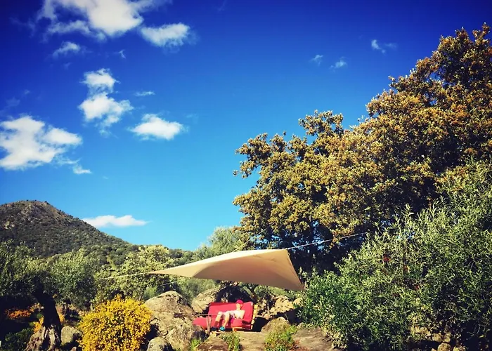 Flores Amarillas Bed & Breakfast Almoharin