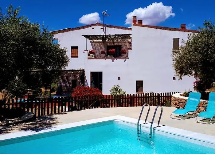 Bed & Breakfast Flores Amarillas Almoharin