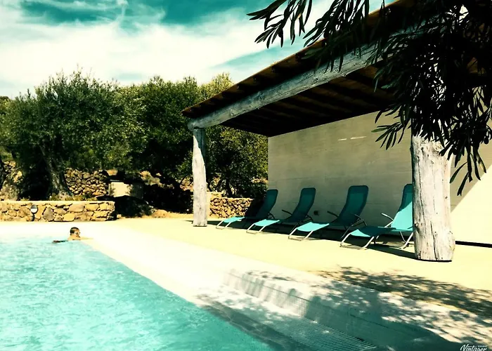 Flores Amarillas Bed & Breakfast