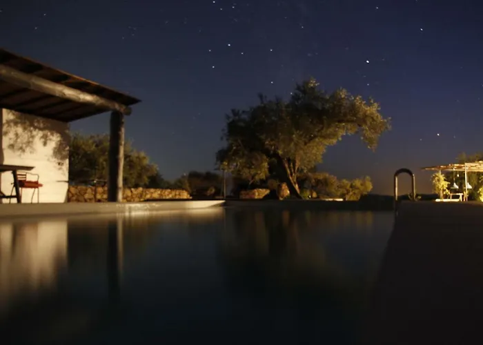 Bed & Breakfast Flores Amarillas *