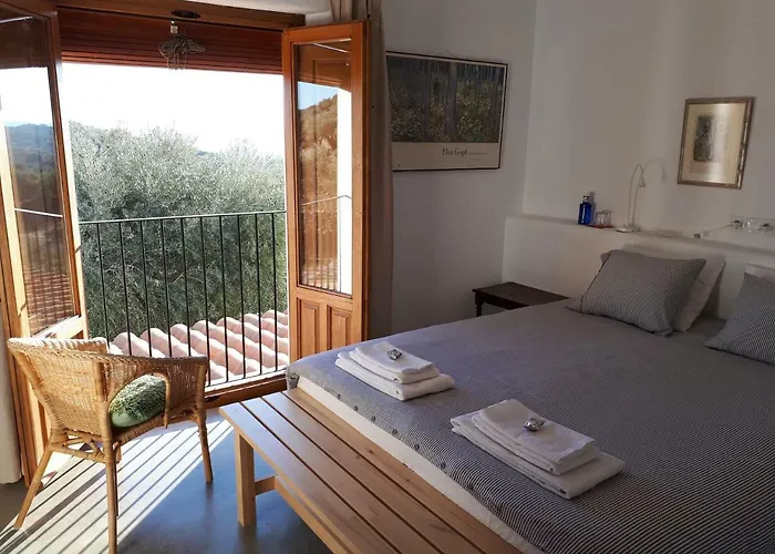 Flores Amarillas * Almoharin