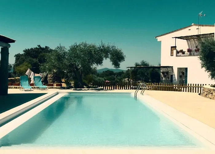 Bed & Breakfast Flores Amarillas Almoharin