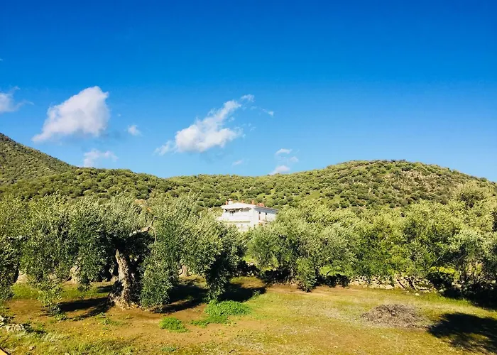 Flores Amarillas Bed & Breakfast Almoharin